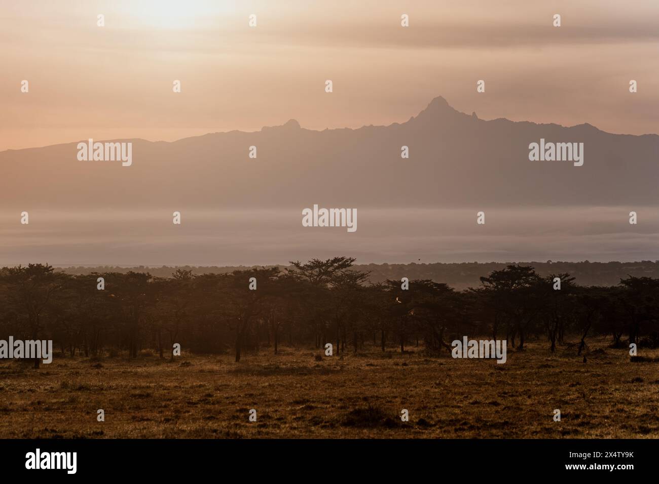 L'aube se brise sur la brume ol Pejeta avec le mont Kenya Banque D'Images