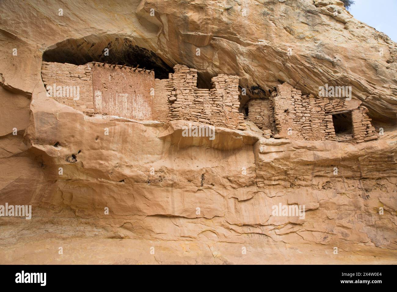 Ruines, Pueblo ancestrales cible, jusqu'à 1 000 ans, les ours oreilles National Monument, Utah, USA Banque D'Images