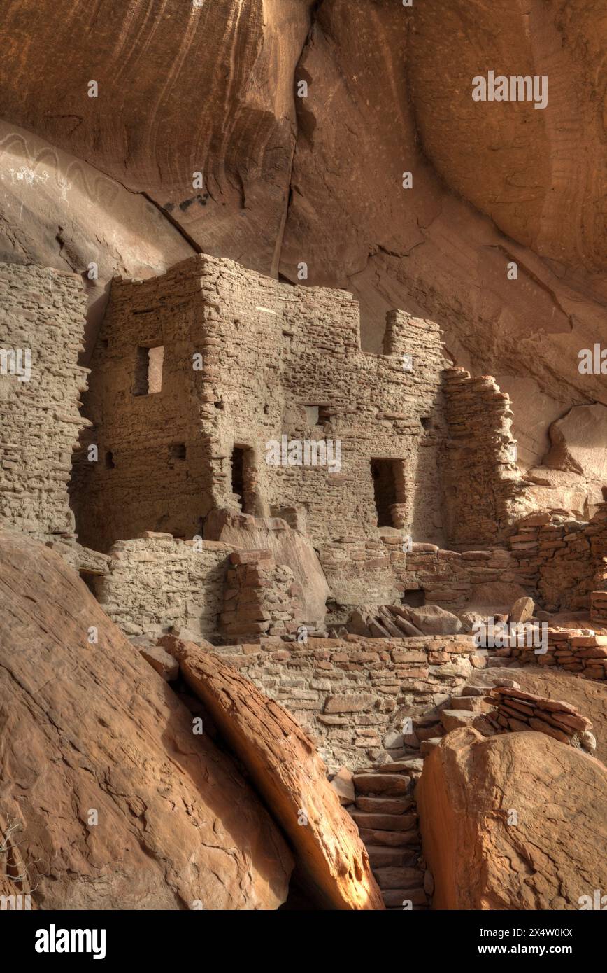 River House Ruin, ancestral Puebloan Cliff Dwelling, 900-1300 AD, Bears Ears National Monument, Utah, États-Unis Banque D'Images River House Ruin, ancestral Puebloan Cliff Dwelling, 900-1300 AD, Bears Ears National Monument, Utah, États-Unis Banque D'Images