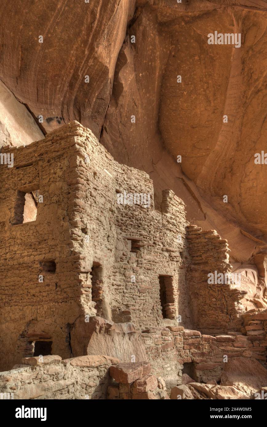 River House Ruin, ancestral Puebloan Cliff Dwelling, 900-1300 AD, Bears Ears National Monument, Utah, États-Unis Banque D'Images River House Ruin, ancestral Puebloan Cliff Dwelling, 900-1300 AD, Bears Ears National Monument, Utah, États-Unis Banque D'Images