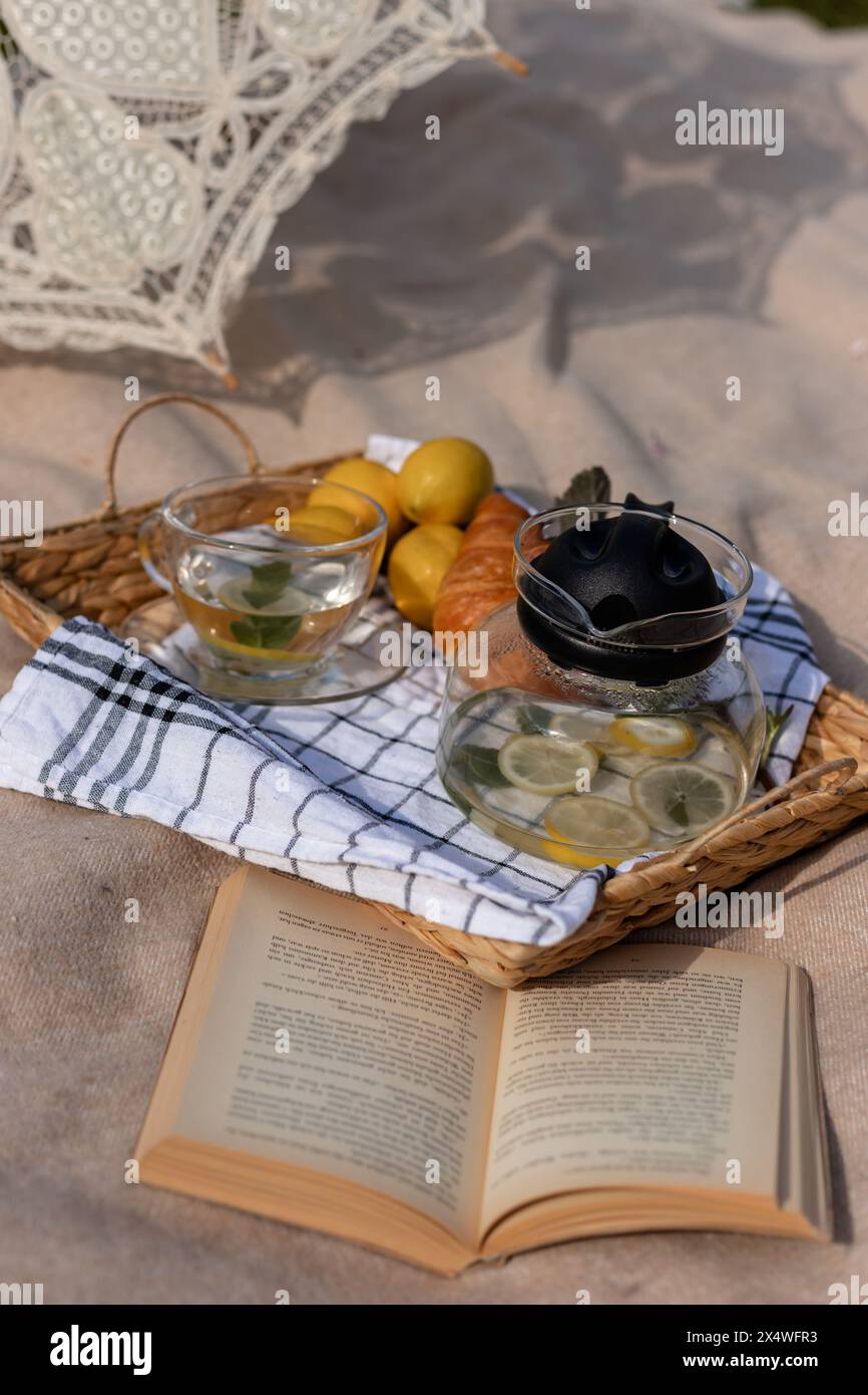 Pique-nique d'été près du lac. Sur le couvre-lit il y a un parapluie, un livre, du thé et des croissants. Photo de haute qualité Banque D'Images