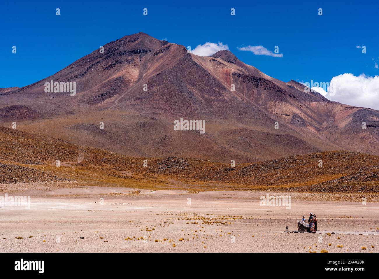 Un groupe de touristes dans la réserve nationale de Los Flamencos, région d'Antofagasta, Chili. Banque D'Images