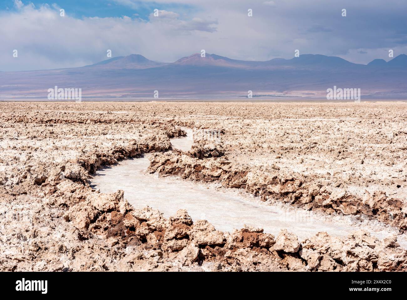 Croûtes de sel à la Laguna Chaxa (lagune de Chaxa), San Pedro de Atacama, région d'Antofagasta, Chili. Banque D'Images