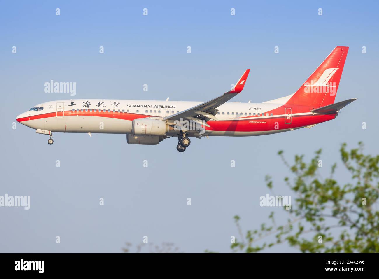 Shanghai Boeing 737 Airline à l'aéroport de Shanghai en Chine en avril 2024 Banque D'Images