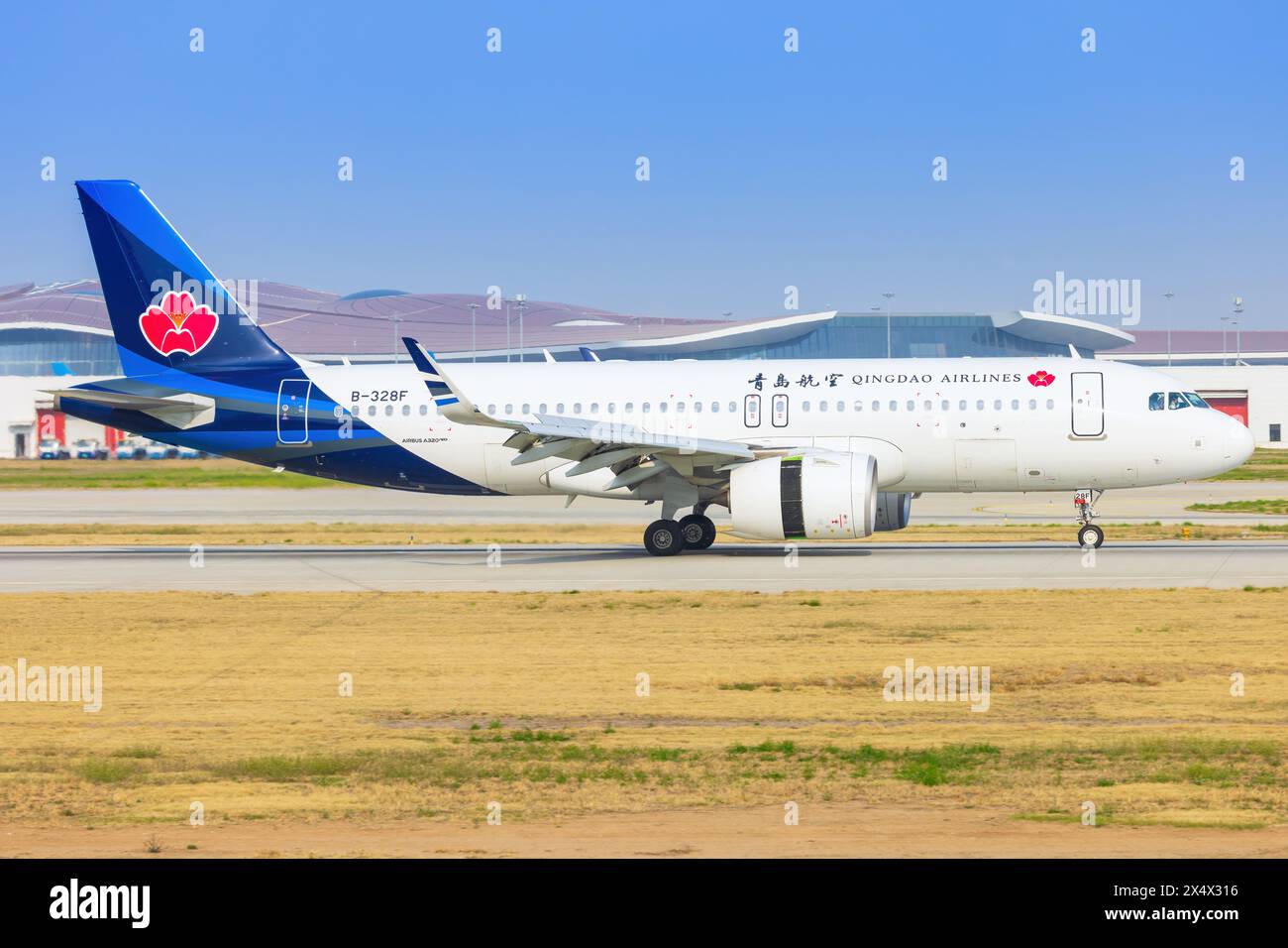 Airbus A320 des avions de ligne Qingdao à l'aéroport de Daxing Pékin en Chine en avril 2024 Banque D'Images