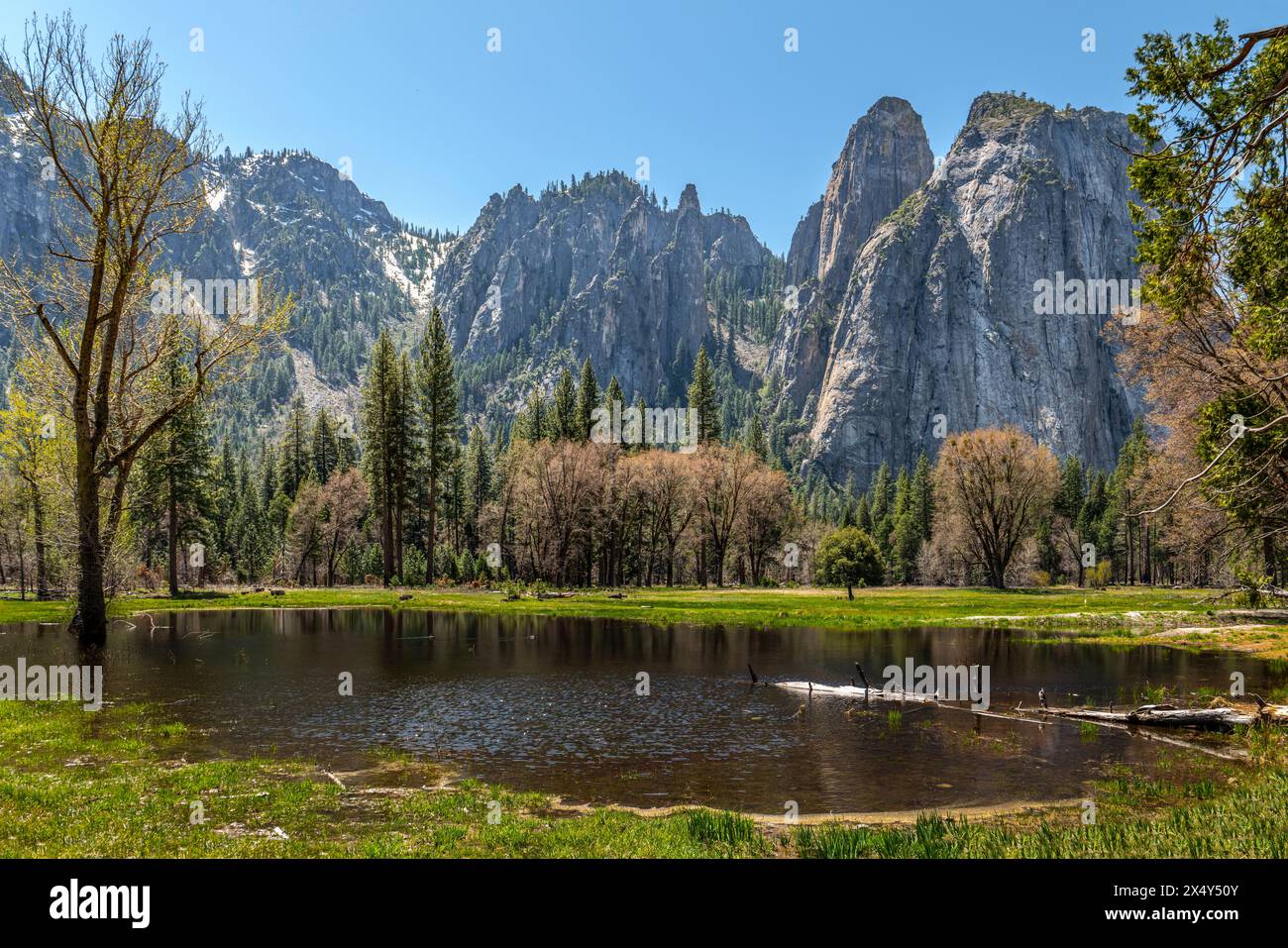 CATHÉDRALE ROCHES YOSEMITE PARC NATIONAL CALIFORNIE ÉTATS-UNIS Banque D'Images
