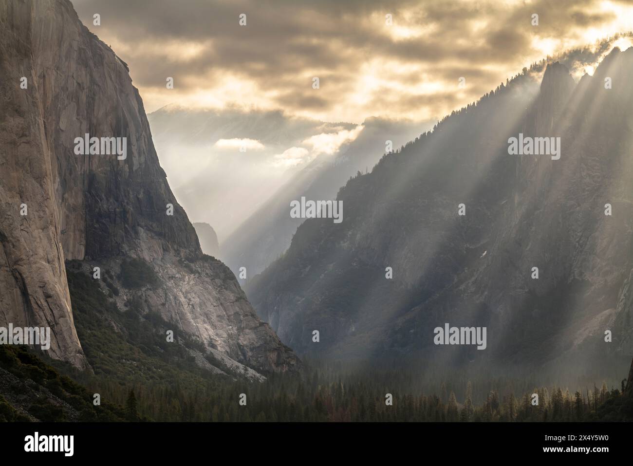 EL CAPITAN, HALF DOME, SENTINEL ROCK & CATHEDRAL ROCKS VUE TUNNEL PARK YOSEMITE NATIONAL PARK CALIFORNIA USA Banque D'Images