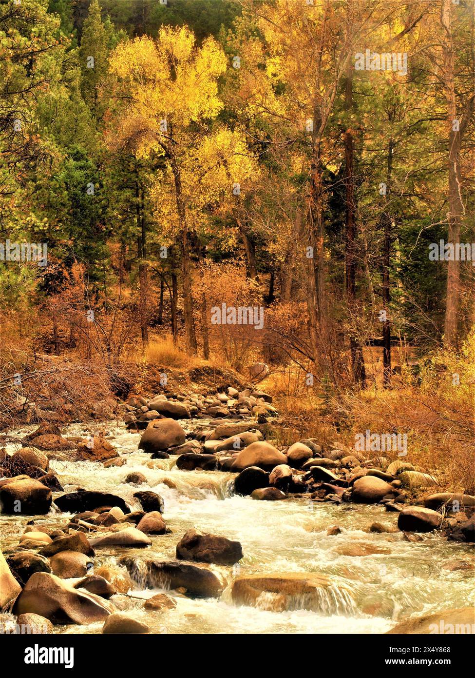 Ruisseau Colorado avec arbres et rochers colorés en automne. Banque D'Images