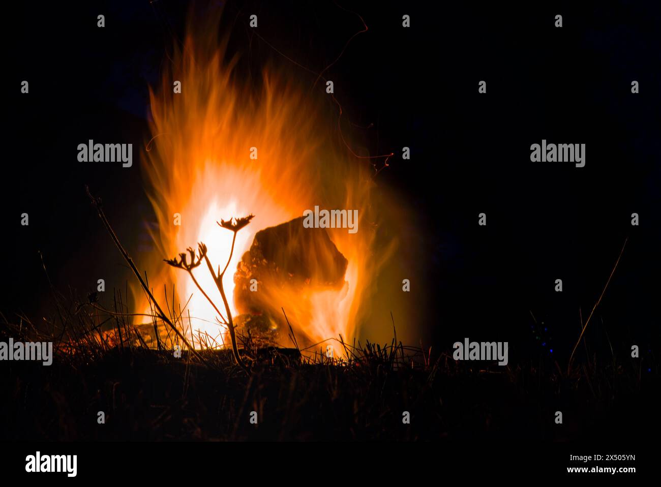 Un feu de camp en gros plan, une vitesse d'obturation lente, une silhouette de plantes sur le fond de Fire Shot 2 Banque D'Images