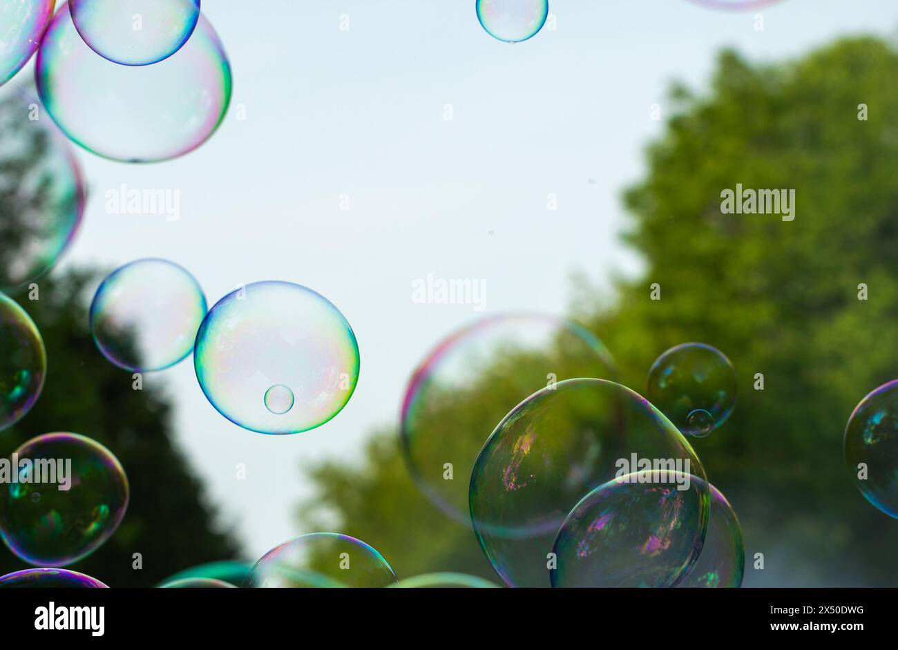 bulles de savon gros plan sur un fond de soleil et de verdure, fond abstrait, humeur positive, vacances, négligence, concept de bonheur Banque D'Images