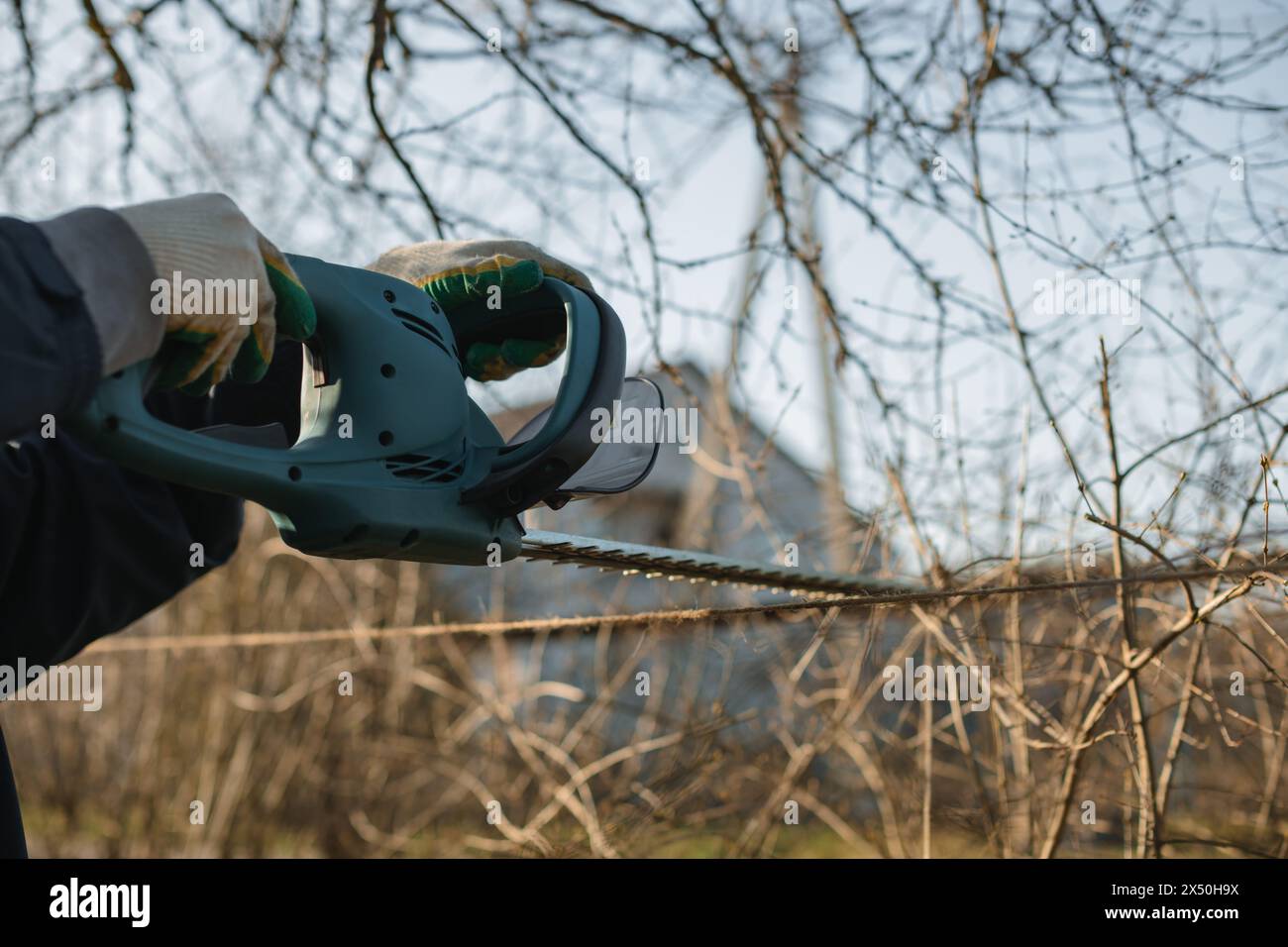 Gros plan d'un homme taillant des branches dans un jardin avec un taille-haie électrique Banque D'Images