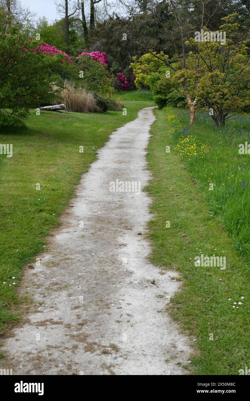 Promenade du parc Rhododendron Banque D'Images