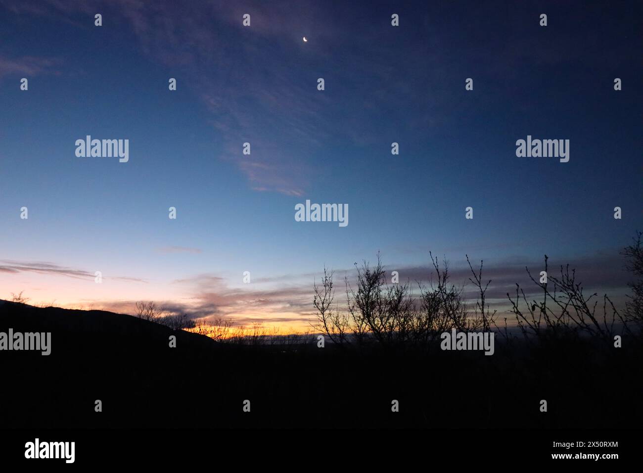 Lever de soleil en Islande avec la végétation contre la lumière. automne. Banque D'Images