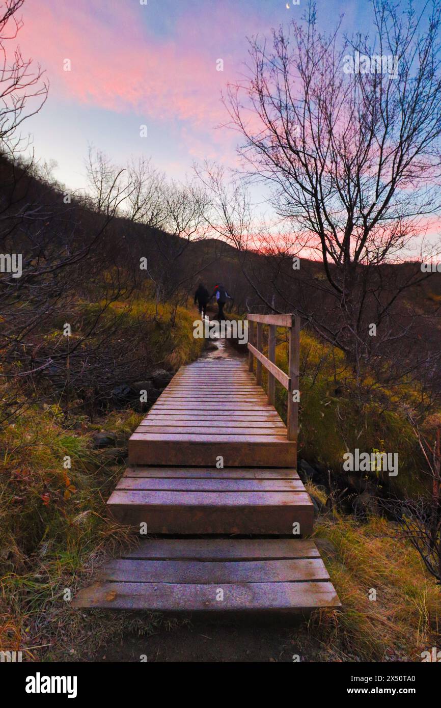 marcher à travers l'islande au lever du soleil, avec la végétation contre la lumière. automne. Banque D'Images