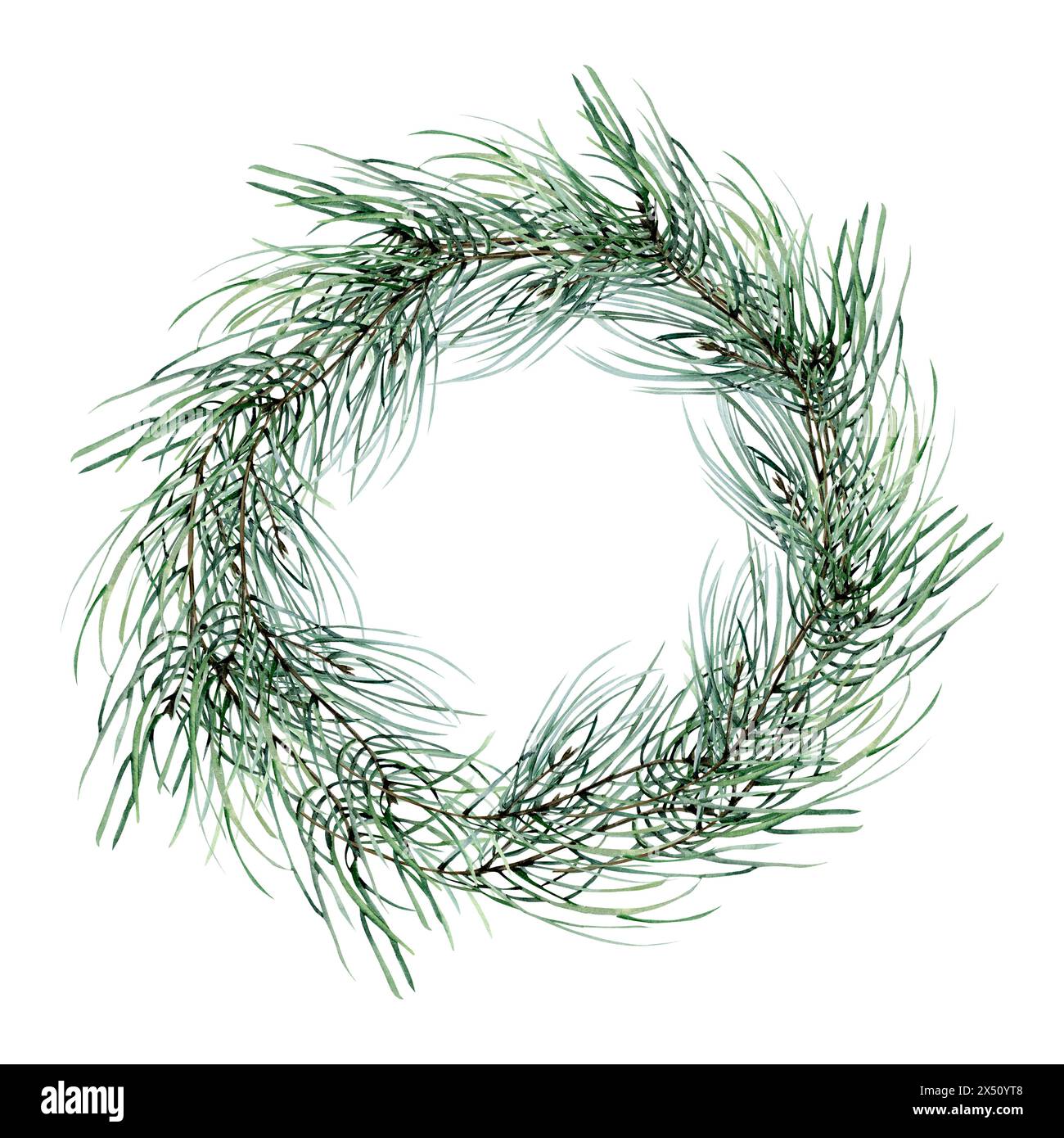 Couronne florale traditonal de Noël avec des branches de pin persistantes pour la carte de voeux du nouvel an, emballage, conception de décoration. Cadre botanique dessiné à la main Banque D'Images
