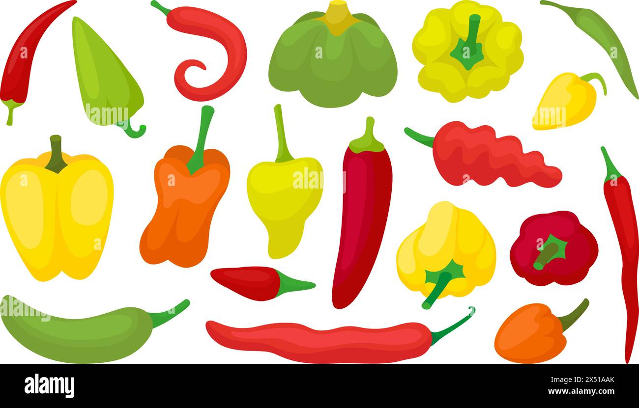 Poivrons de dessin animé. Paprika doux, poivre jaune, vert et rouge. Légumes frais, ingrédients crus pour la cuisson. Aliment vecteur néotérique sain Illustration de Vecteur