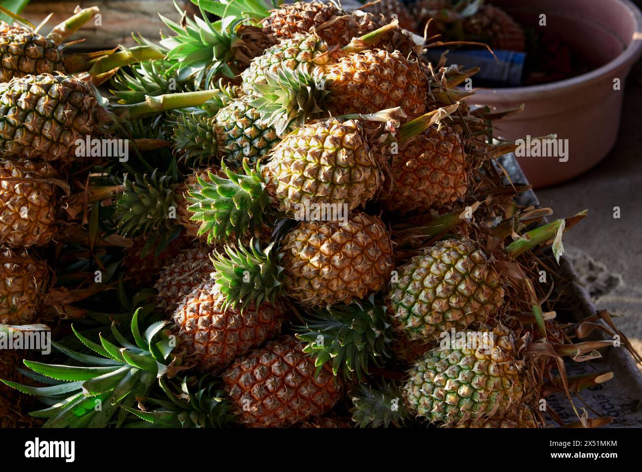 Ananas mûr à vendre au marché étal Banque D'Images