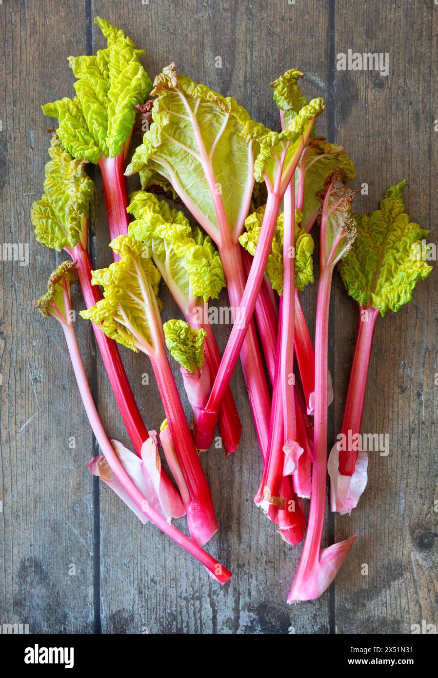 Rhubarbe forcée rose fraîchement cueillie sur une surface en bois foncé Banque D'Images