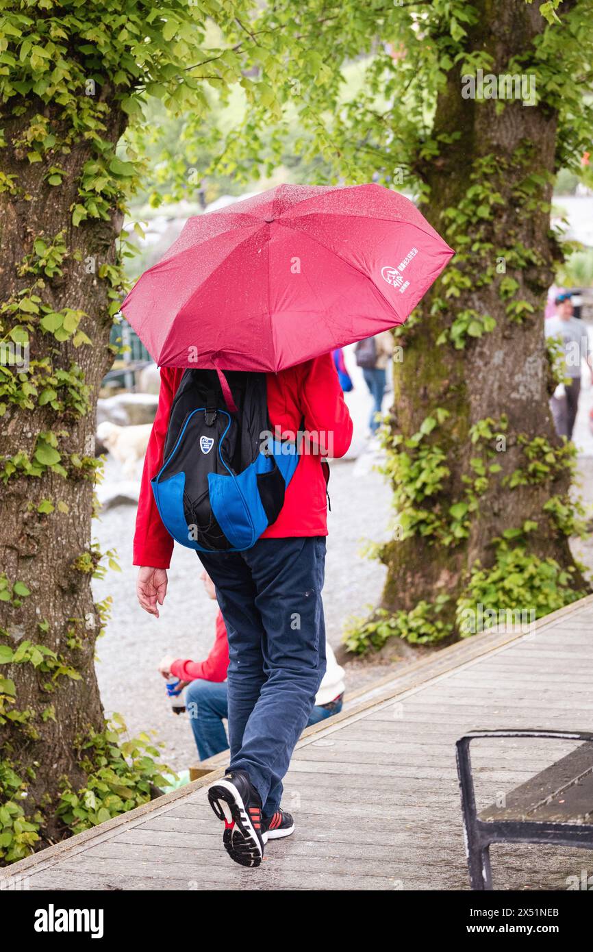 Cumbria, Royaume-Uni. 5 mai 2024. Le jour de mai jour férié se termine avec les touristes sortant de l'équipement de temps humide que la pluie arrive tard aftrenoon Bowness Bay, sur le lac Windermere, Cumbria du Sud, le Lake District . Crédit : Gordon Shoosmith/Alamy Live News Banque D'Images