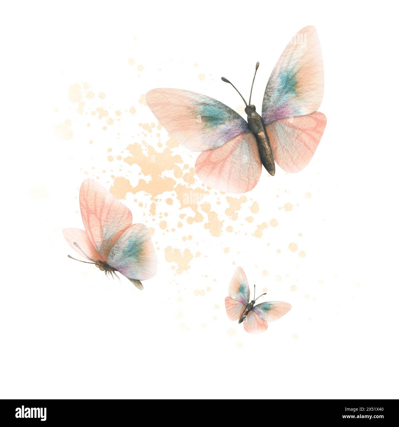 Papillons volants, délicats, élégants en fuzz pêche et couleur turquoise. Illustration réaliste d'aquarelle dessinée à la main. Composition isolée du Banque D'Images