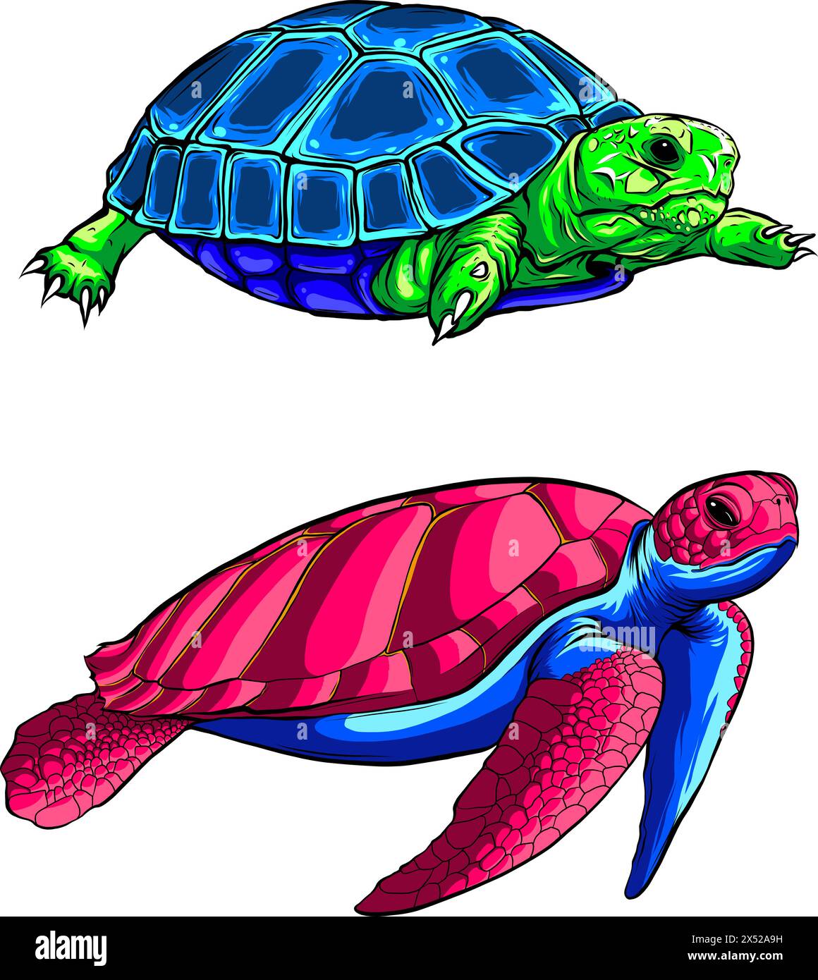 illustration vectorielle d'une jolie tortue sur fond blanc. dessin manuel numérique Illustration de Vecteur