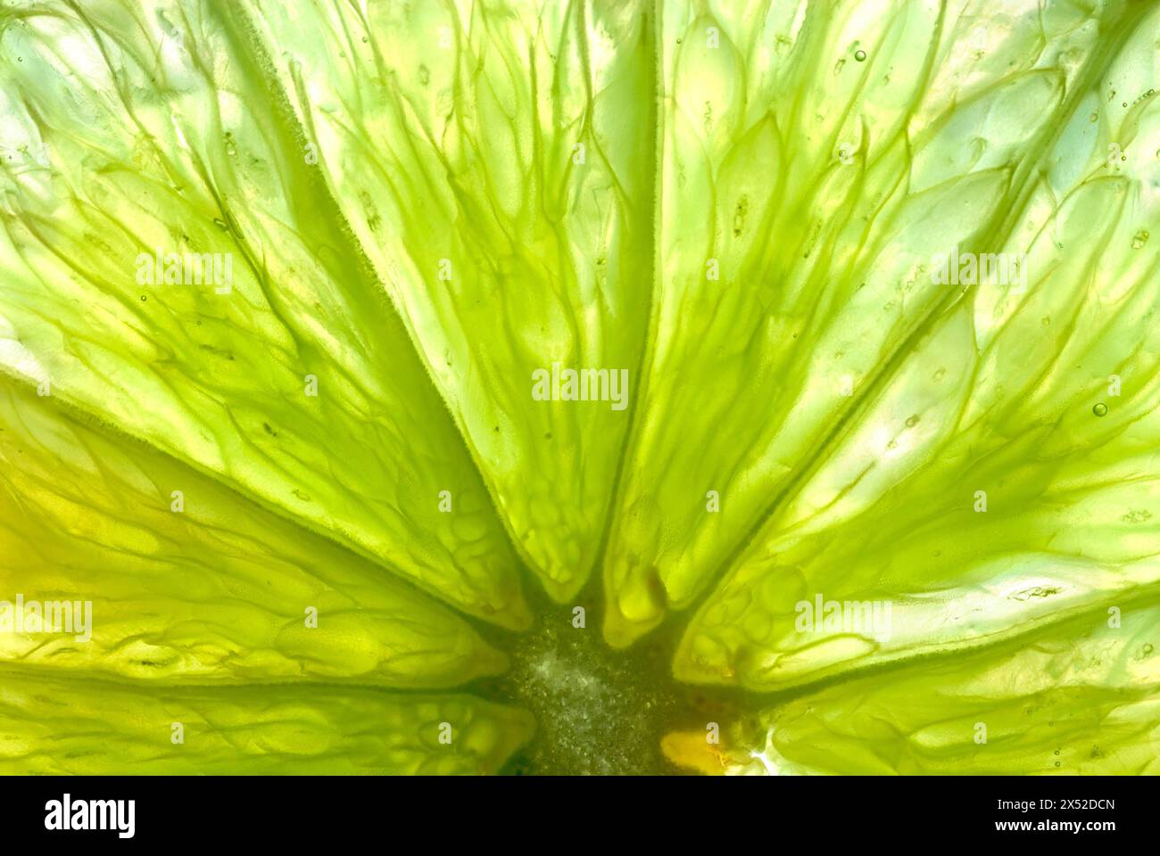 Macro d'un fond alimentaire abstrait vert citron vert Banque D'Images