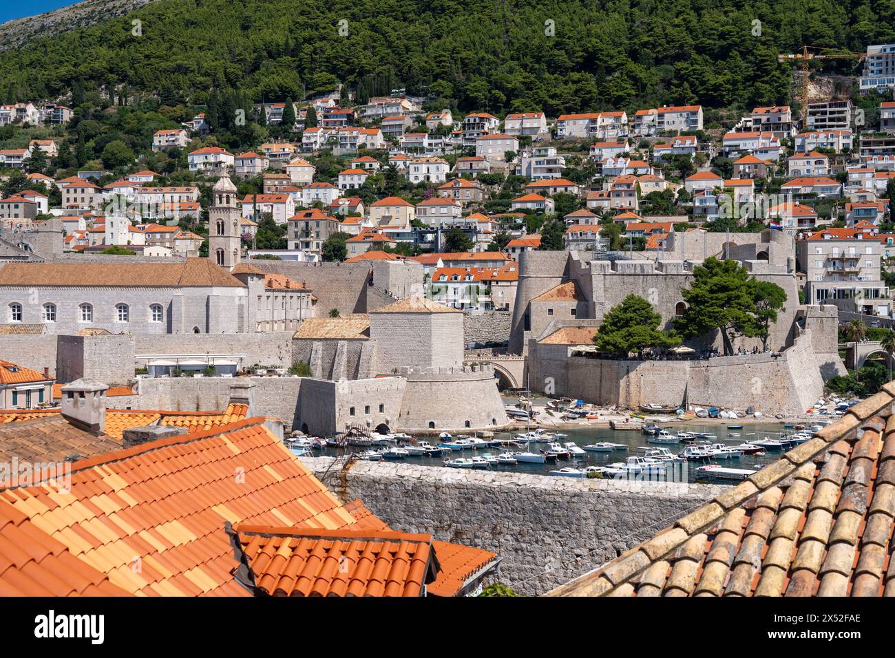 Vue sur la vieille ville de Dubrovnik avec la tour du monastère franciscain visible. Banque D'Images