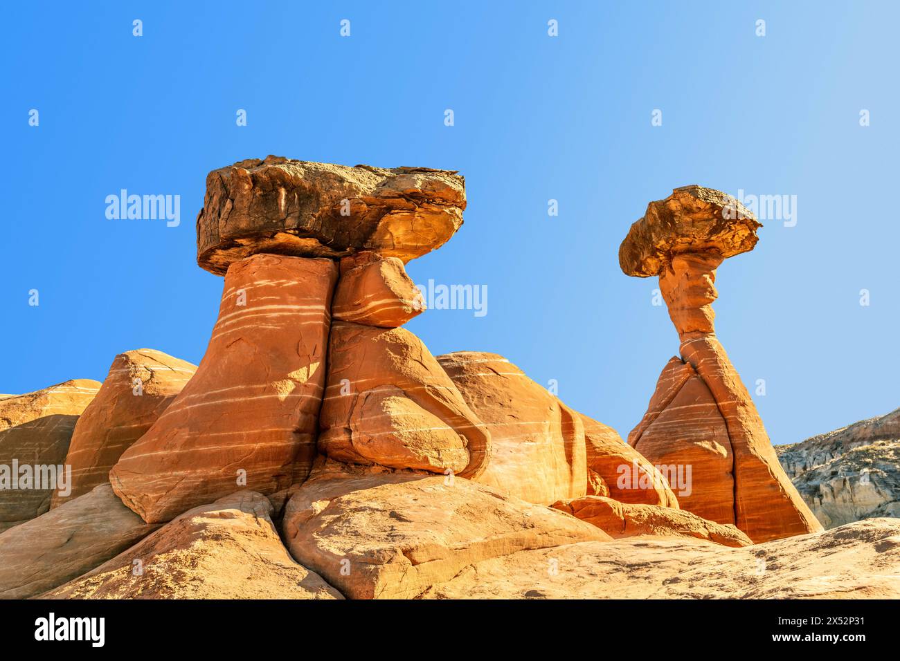 Hoodoo en toadstool en grès blanc et rouge à Kanab Utah montrant des flèches fortement érodées et une roche plus dure équilibrée sur le dessus encadrée par un ciel bleu. Banque D'Images