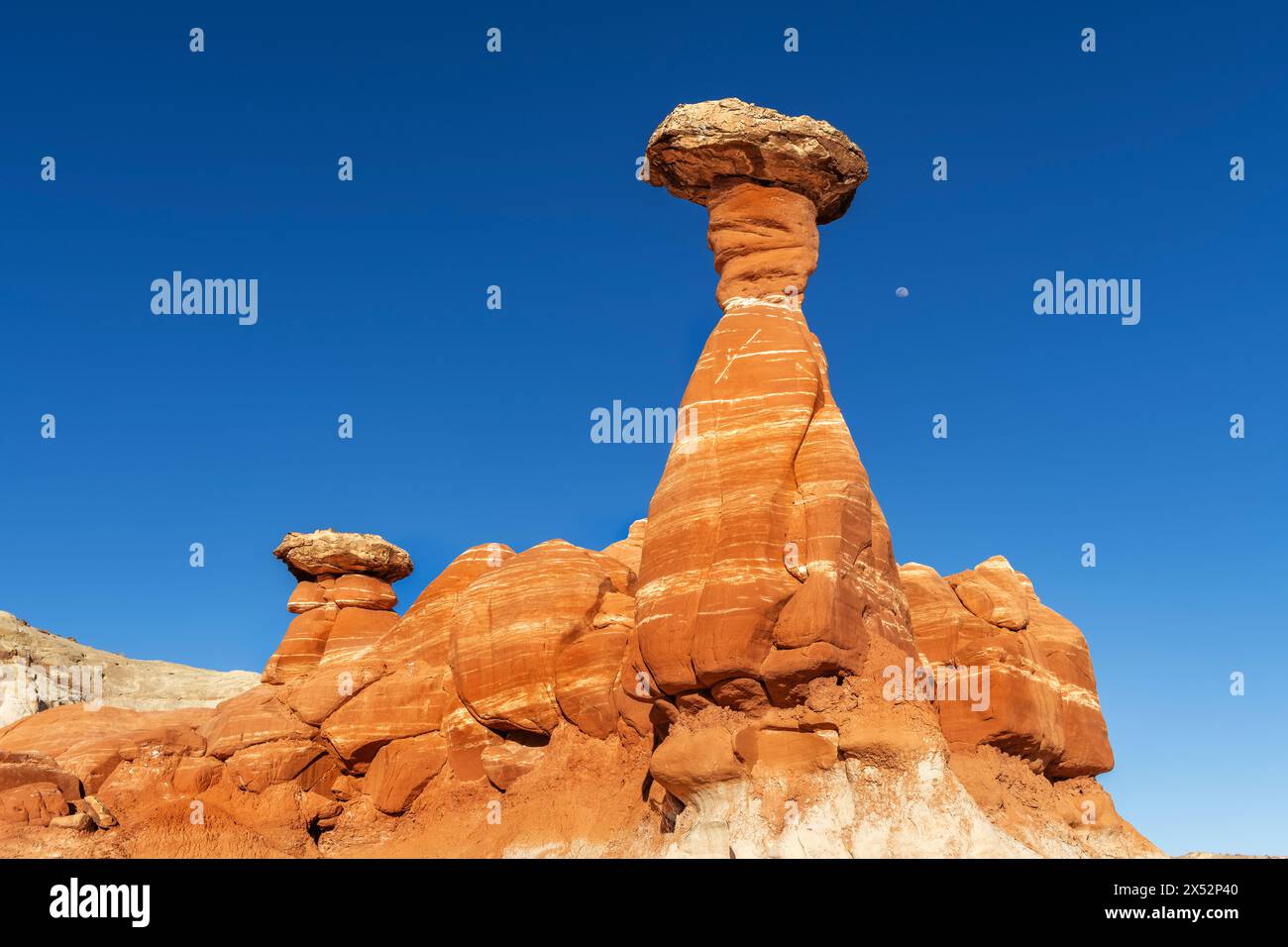 Hoodoo en toadstool en grès blanc et rouge à Kanab Utah montrant des flèches fortement érodées et une roche plus dure équilibrée sur le dessus encadrée par un ciel bleu. Banque D'Images