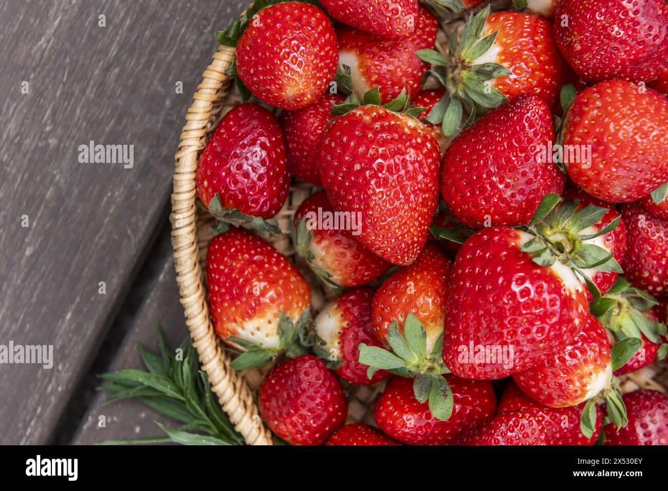 Les fraises préviennent l’apparition de maladies cardiovasculaires, d’hypercholestérolémie, d’athérosclérose et améliorent notre capacité antivirale Banque D'Images