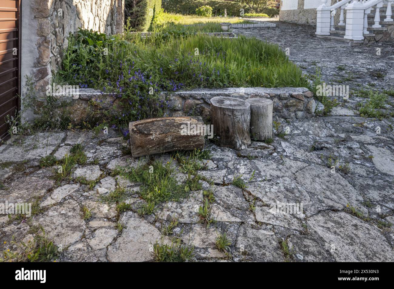 quelques souches de bois dans un jardin avec des sols rocheux granitiques Banque D'Images