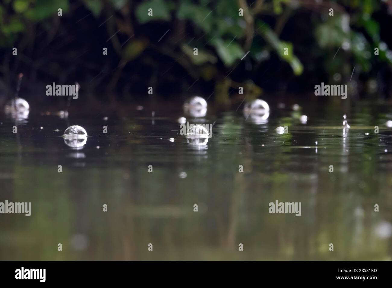 Météo d'avril, la pluie rencontre un lac, Allemagne Banque D'Images