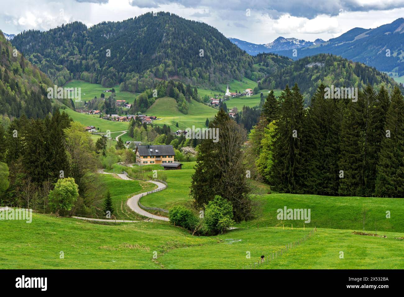 Vue de l'Alpe Dornach à Tiefenbach et les Alpes Allgaeu, Oberstdorf, Oberallgaeu, Allgaeu, Bavière, Allemagne Banque D'Images