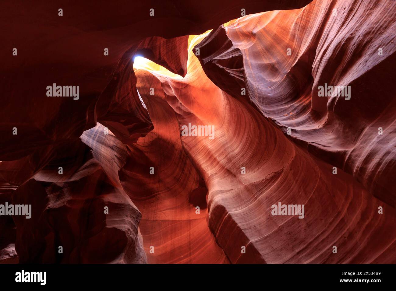 Jeu de lumière et d'ombre sur le convolvulus courbé et sculpté par l'eau d'un canyon, Upper Antelope Canyon, Amérique du Nord, USA, Sud-Ouest, Arizona Banque D'Images