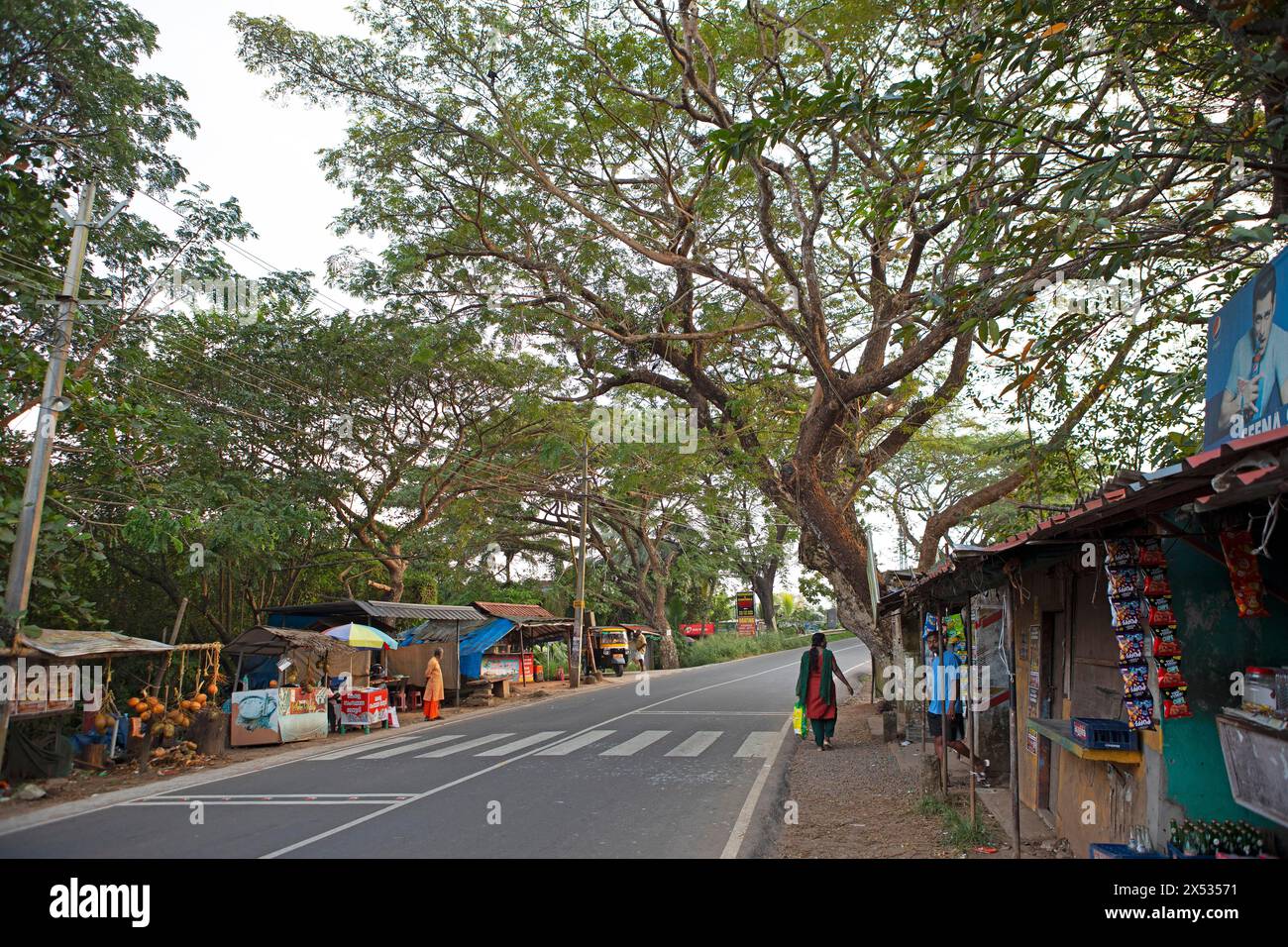 Route principale à Kavanattinkara, backwaters, Kerala, Inde Banque D'Images