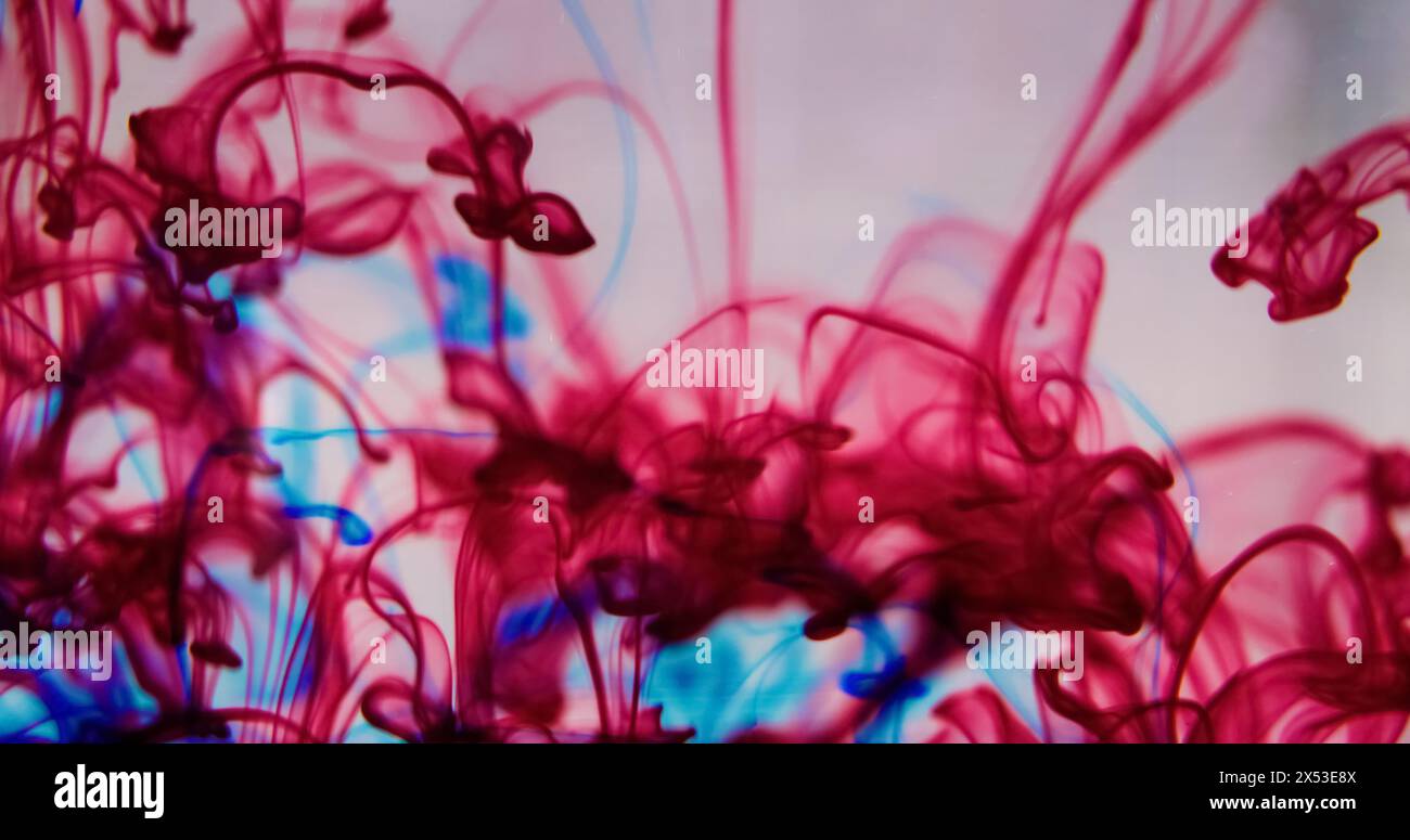 Éclaboussures de peinture. Eau acrylique. Défocalisé gouttes de couleur bleu rouge fuite pigment encre tourbillon fluide colorant mélange effet de traînée de fumée liquide sur fond d'art abstrait léger. Banque D'Images