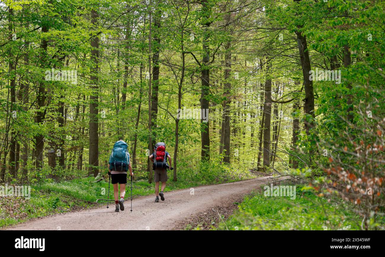 IM thüringischen Gerstungen Wanderer auf dem Lutherweg 29.04.24 *** randonneurs sur le sentier Luther à Gerstungen, Thuringe 29 04 24 Banque D'Images