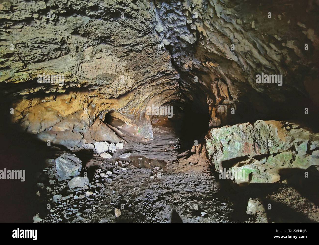 Dans la grotte Feldhof dans la vallée de Hoenne, Allemagne, Rhénanie du Nord-Westphalie, Sauerland, Balve Banque D'Images