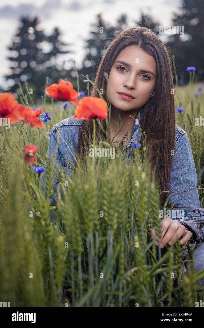 Portrait d'une belle brune brune aux cheveux longs fille bronzée habillée en jeans assis dans un champ de maïs avec des coquelicots rouges. Verticalement. Banque D'Images