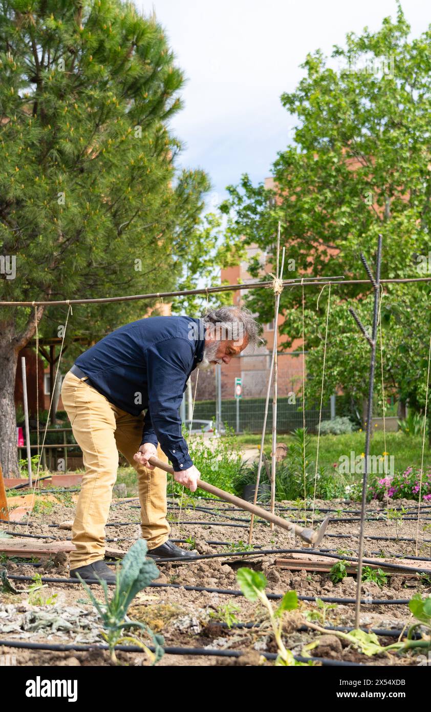 Homme de plus de 60 ans travaillant dans un jardin communautaire Banque D'Images