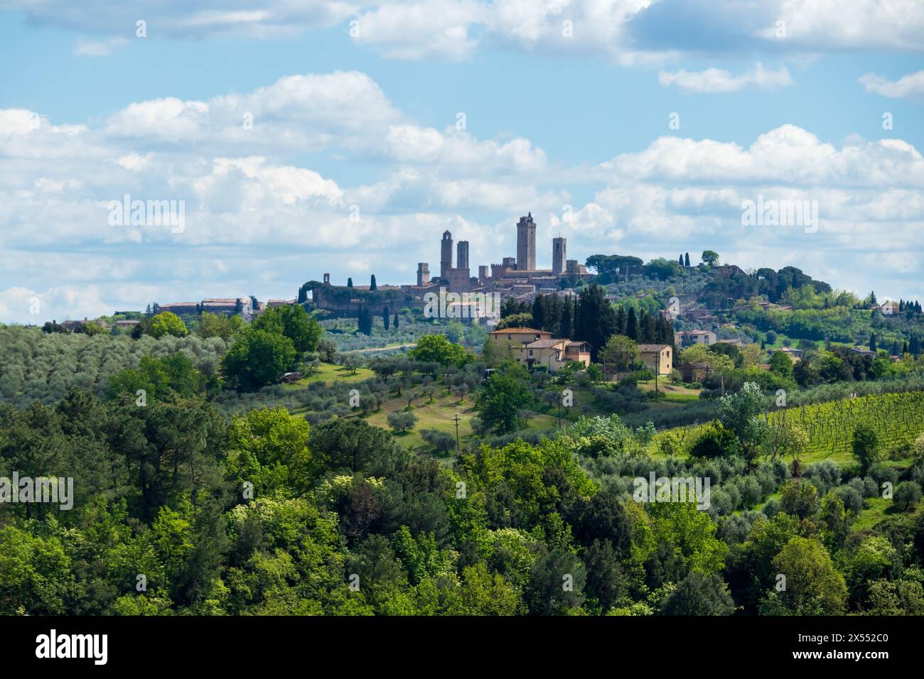 Belle vue sur la tour de San Gimignano en Toscane, Italie, avec des collines d'herbe verte classique et des vignobles par une journée ensoleillée avec un ciel bleu et nuageux. Banque D'Images