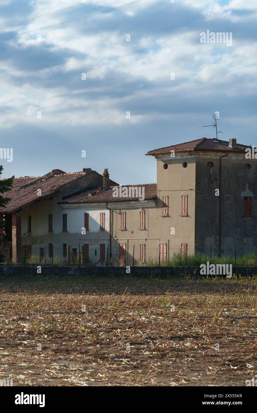 Paysage de campagne près de Cortemaggiore, dans la province de Piacenza, Emilie Romagne, Italie, en été Banque D'Images