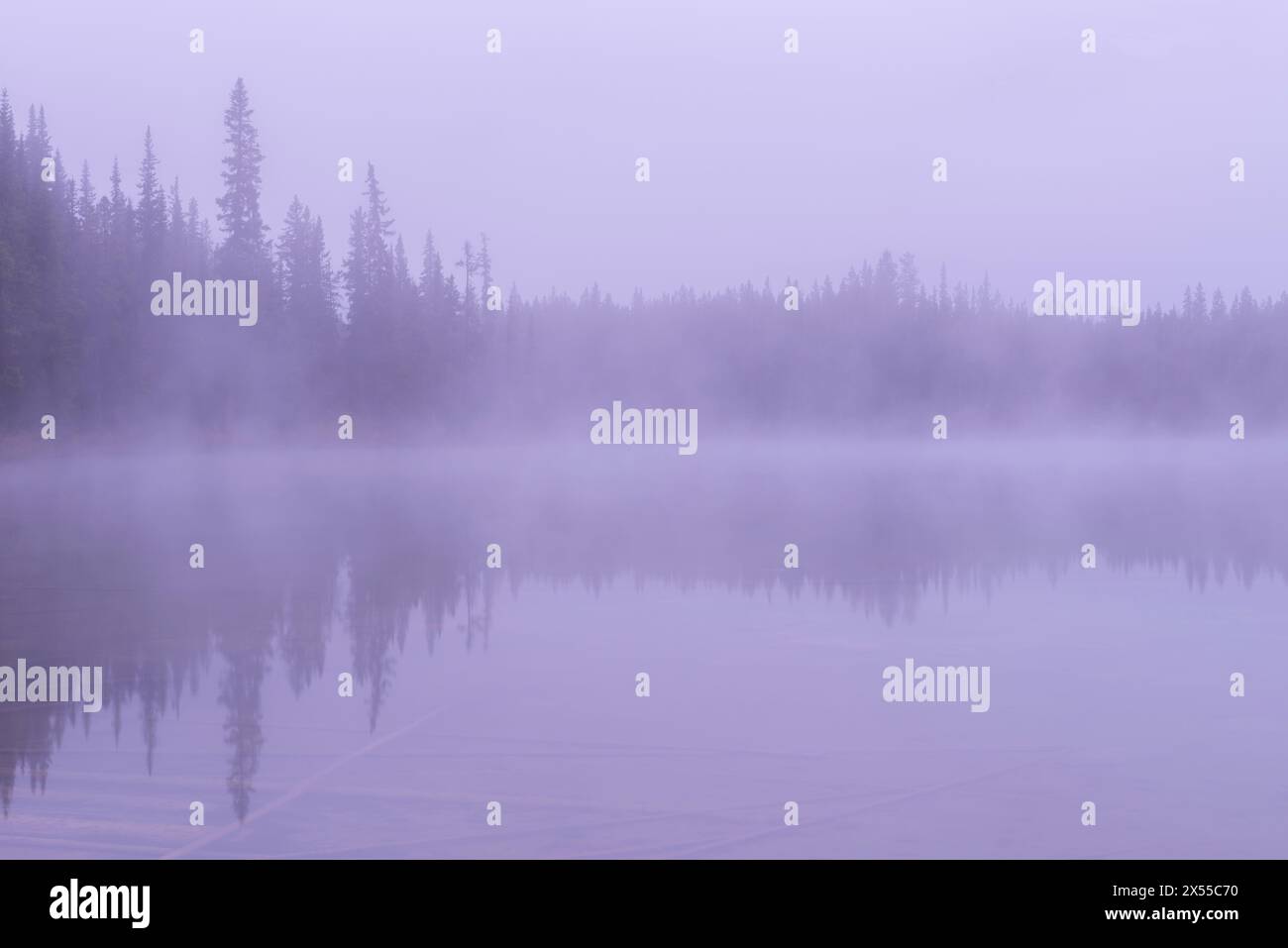 Conditions brumeuses au lac Herbert dans le parc national Banff, Alberta, Canada. Automne (septembre) 2016. Banque D'Images