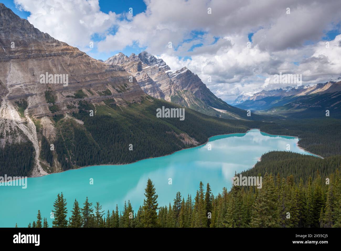 Lac Peyto dans les Rocheuses canadiennes, parc national Banff, Alberta, Canada. Automne (septembre) 2016. Banque D'Images