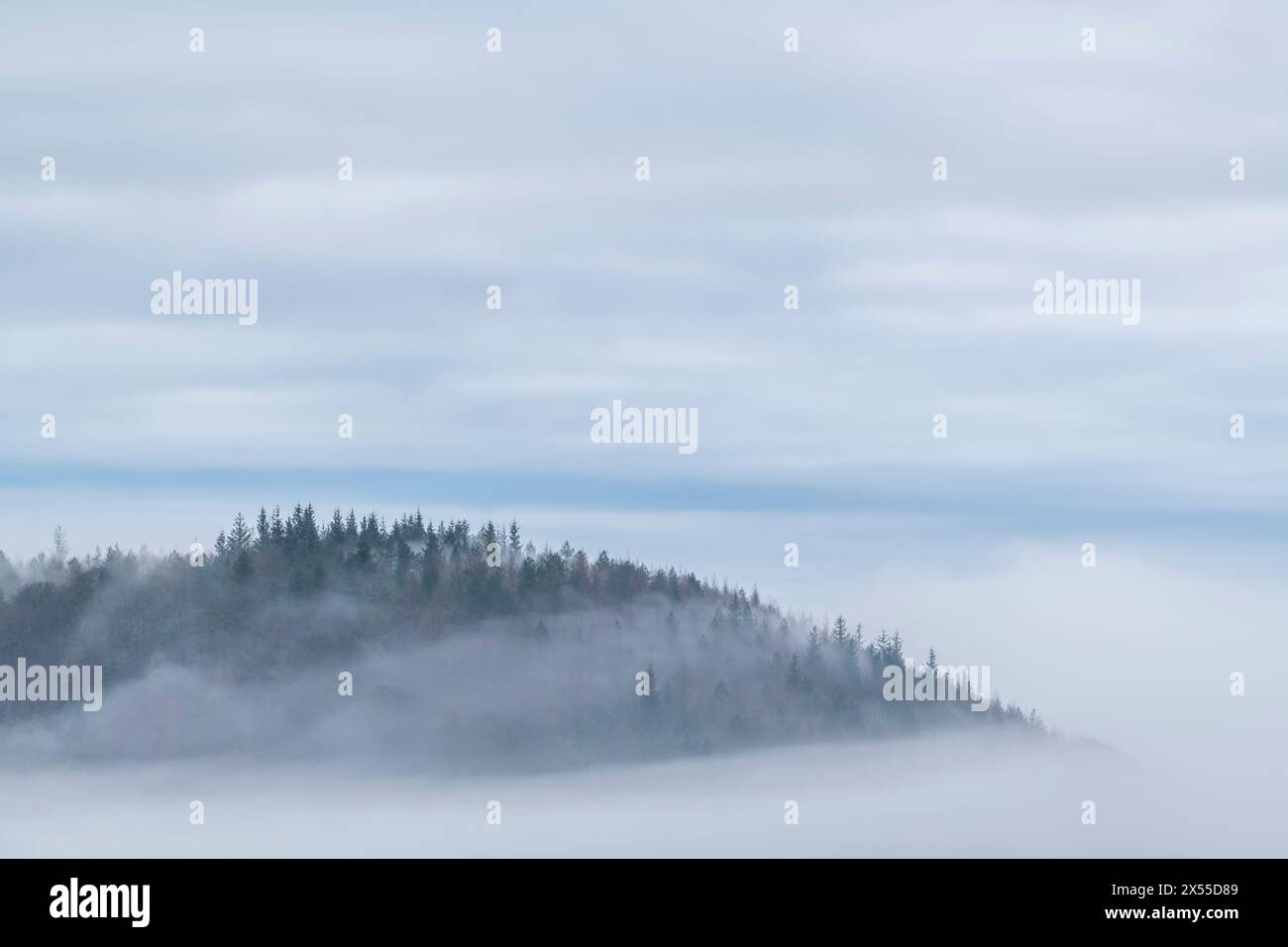 Bulverton Hill dans la brume matinale, Sidmouth, Devon, Angleterre. Hiver (janvier) 2023. Banque D'Images