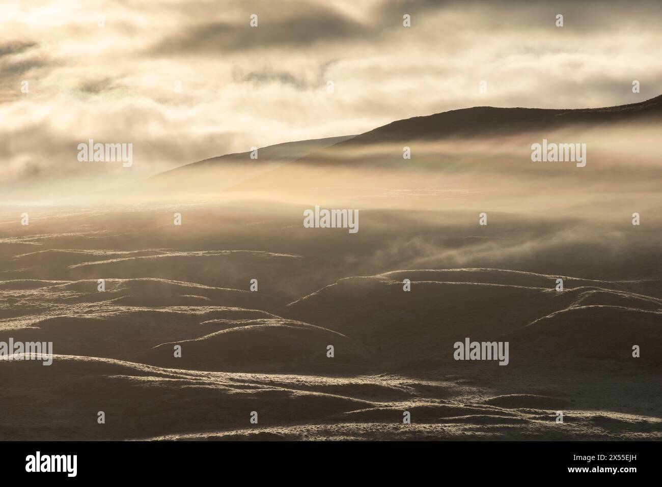 Landes givrées et brumeuses à Rannoch Moor dans les Highlands écossais, en Écosse. (Mars) 2024. Banque D'Images