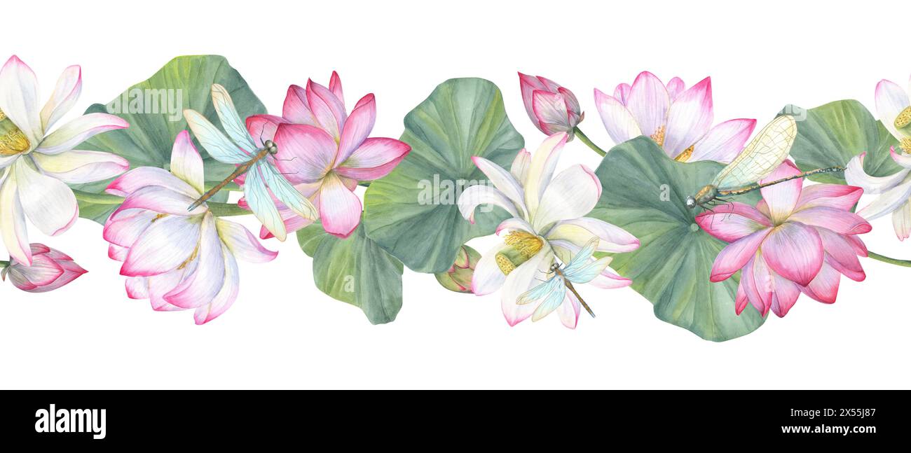 Bannière de fleurs de Lotus. Nénuphar rose blanc, Lotus indien. Motif floral sans couture. Illustration aquarelle de fleurs nationales vietnamiennes. Banque D'Images