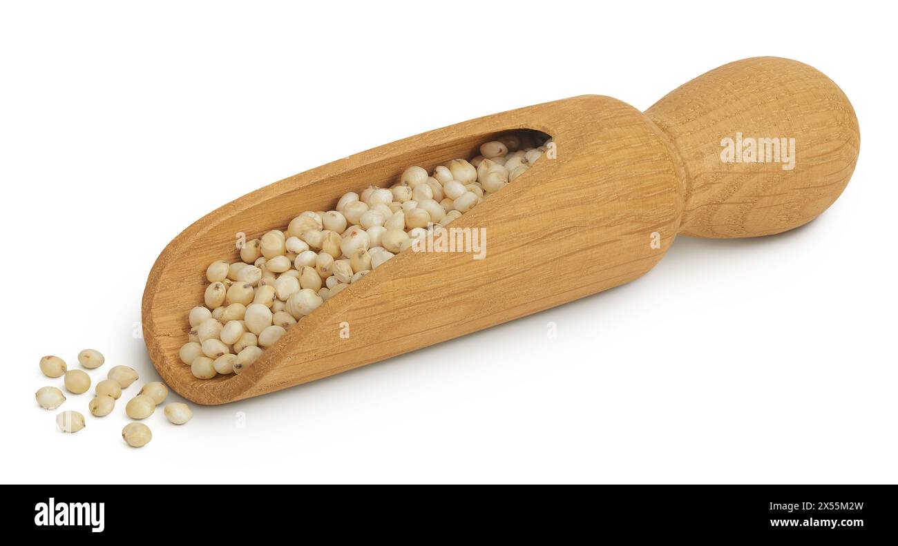 Graines de sorgho dans une pelle en bois isolée sur fond blanc avec pleine profondeur de champ. Banque D'Images