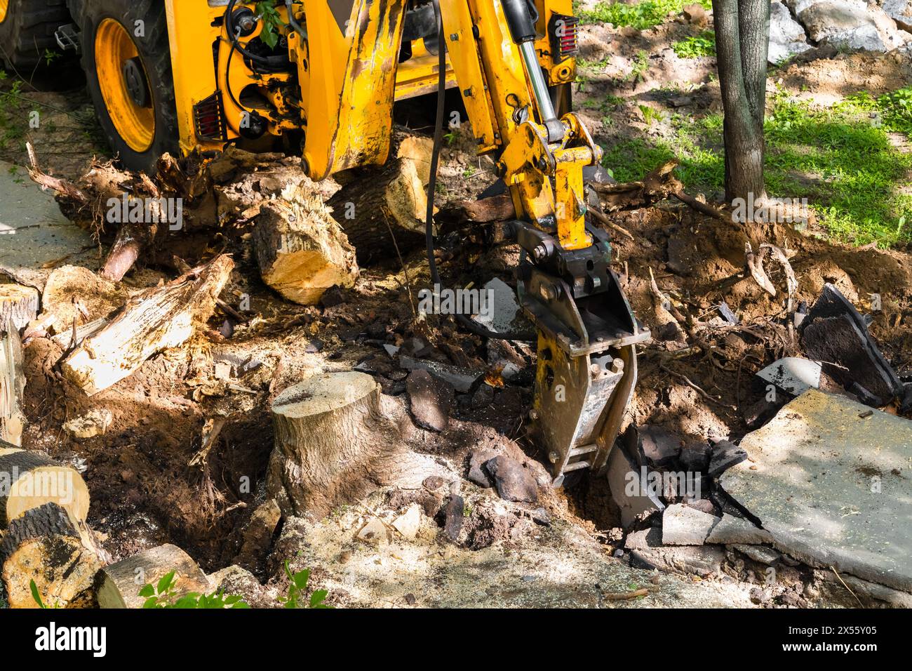 excavatrice avec marteau hydraulique brise l'asphalte vieux. L'excavatrice déracine un arbre Banque D'Images