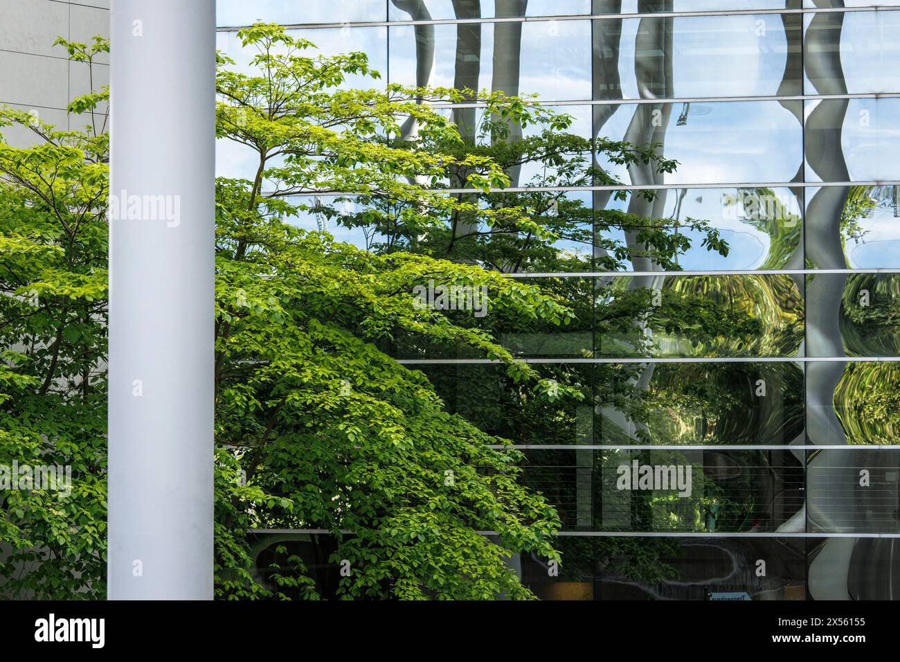 Arbres dans la cour intérieure d'un immeuble de bureaux et d'affaires à Mediapark, Cologne, Allemagne. Baeume stehen im Innenhof eines Buero- und Geschaeftsh Banque D'Images